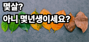 만나이 뜻 계산법 계산기