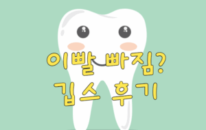 이빨 빠졌을때 치아 깁스 후기
