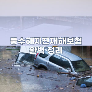 풍수해지진재해보험 가입부터 보험료 재난지원금 차이점 완벽 정리